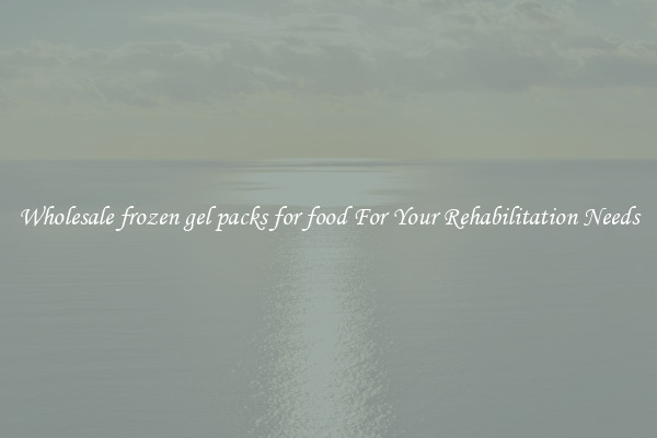 Wholesale frozen gel packs for food For Your Rehabilitation Needs