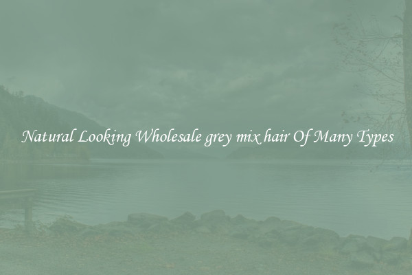 Natural Looking Wholesale grey mix hair Of Many Types