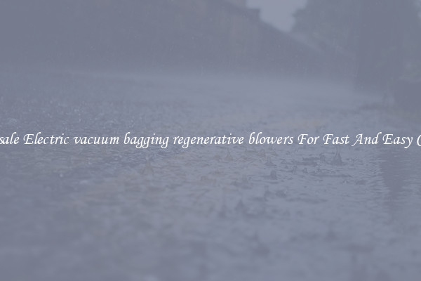 Wholesale Electric vacuum bagging regenerative blowers For Fast And Easy Cleanup