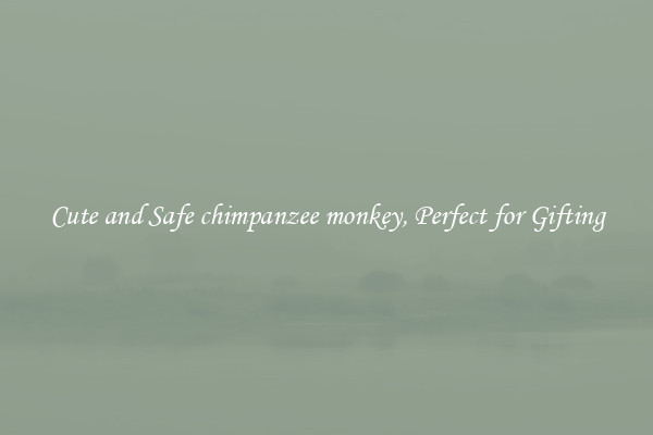Cute and Safe chimpanzee monkey, Perfect for Gifting