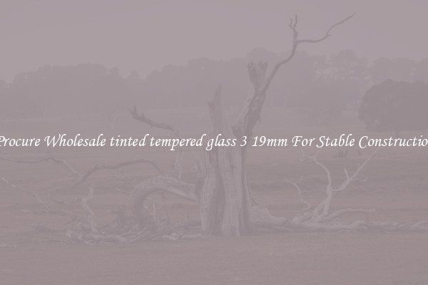 Procure Wholesale tinted tempered glass 3 19mm For Stable Construction