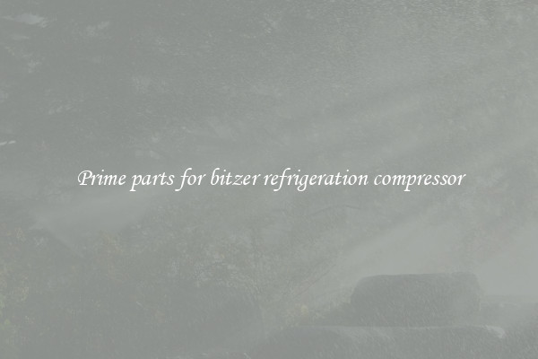 Prime parts for bitzer refrigeration compressor