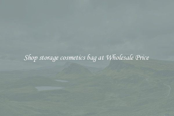 Shop storage cosmetics bag at Wholesale Price 