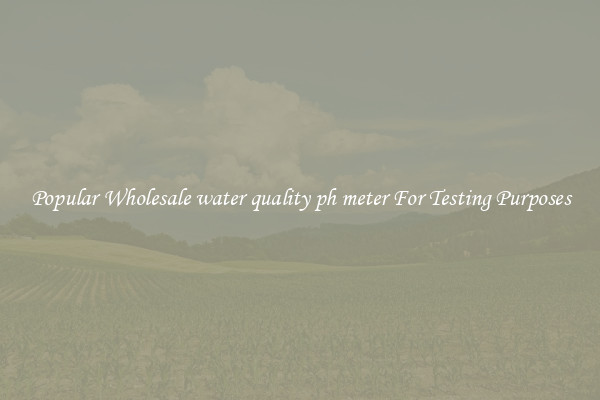 Popular Wholesale water quality ph meter For Testing Purposes