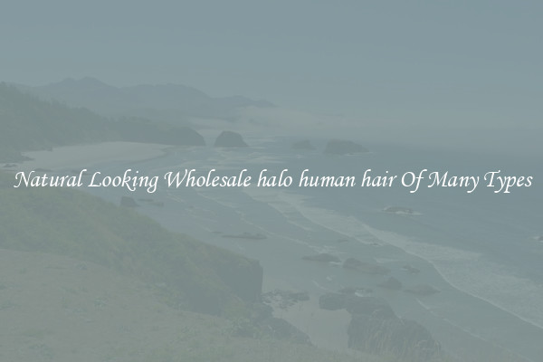 Natural Looking Wholesale halo human hair Of Many Types