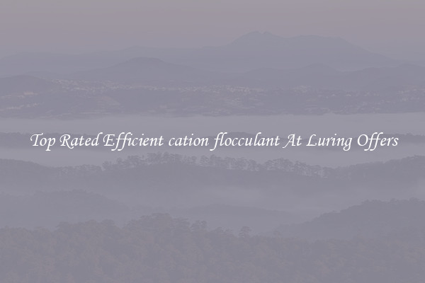Top Rated Efficient cation flocculant At Luring Offers