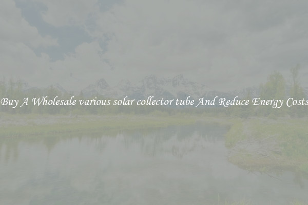 Buy A Wholesale various solar collector tube And Reduce Energy Costs