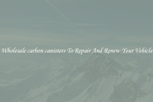 Wholesale carbon canisters To Repair And Renew Your Vehicle