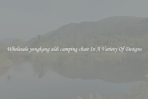 Wholesale yongkang aldi camping chair In A Variety Of Designs