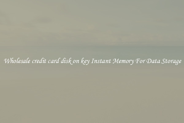 Wholesale credit card disk on key Instant Memory For Data Storage