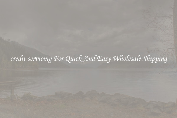 credit servicing For Quick And Easy Wholesale Shipping