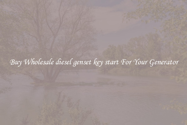 Buy Wholesale diesel genset key start For Your Generator