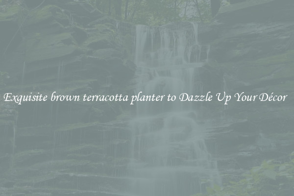Exquisite brown terracotta planter to Dazzle Up Your Décor  