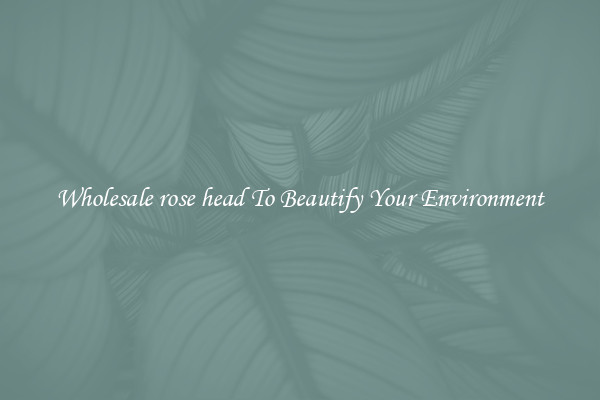 Wholesale rose head To Beautify Your Environment