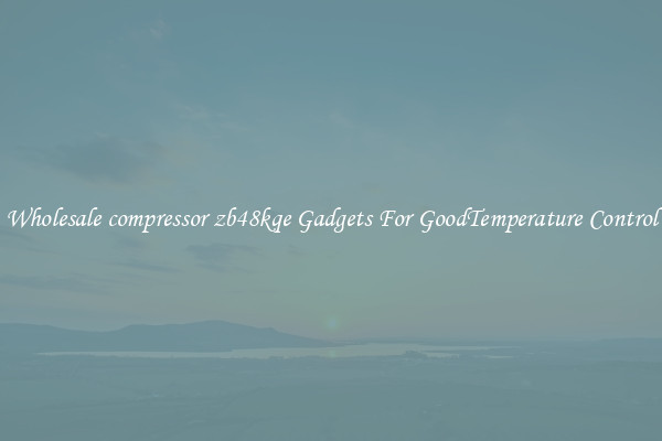 Wholesale compressor zb48kqe Gadgets For GoodTemperature Control