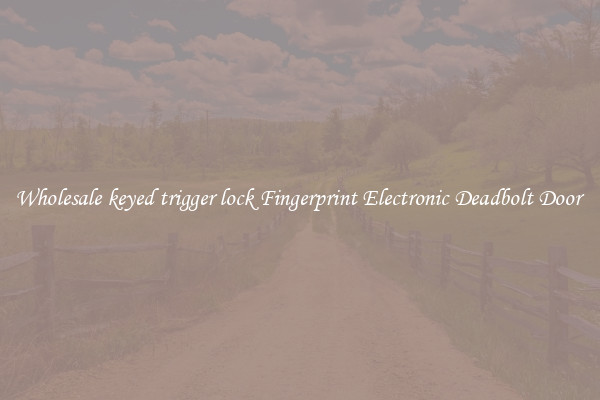 Wholesale keyed trigger lock Fingerprint Electronic Deadbolt Door 