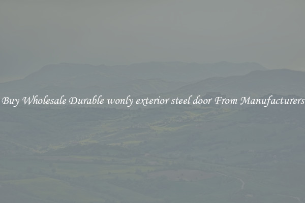 Buy Wholesale Durable wonly exterior steel door From Manufacturers